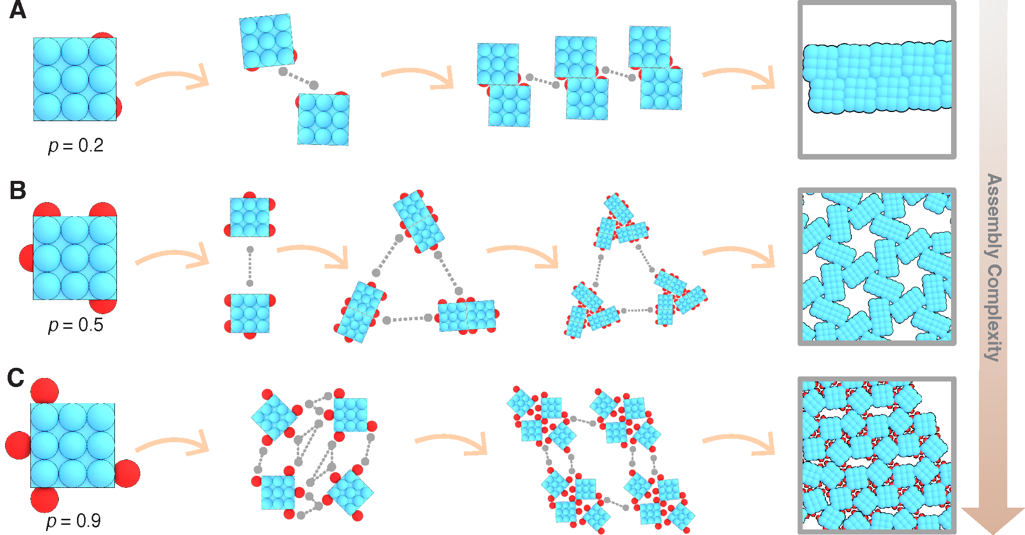 Hierarchical assembly pathways and increasing complexity